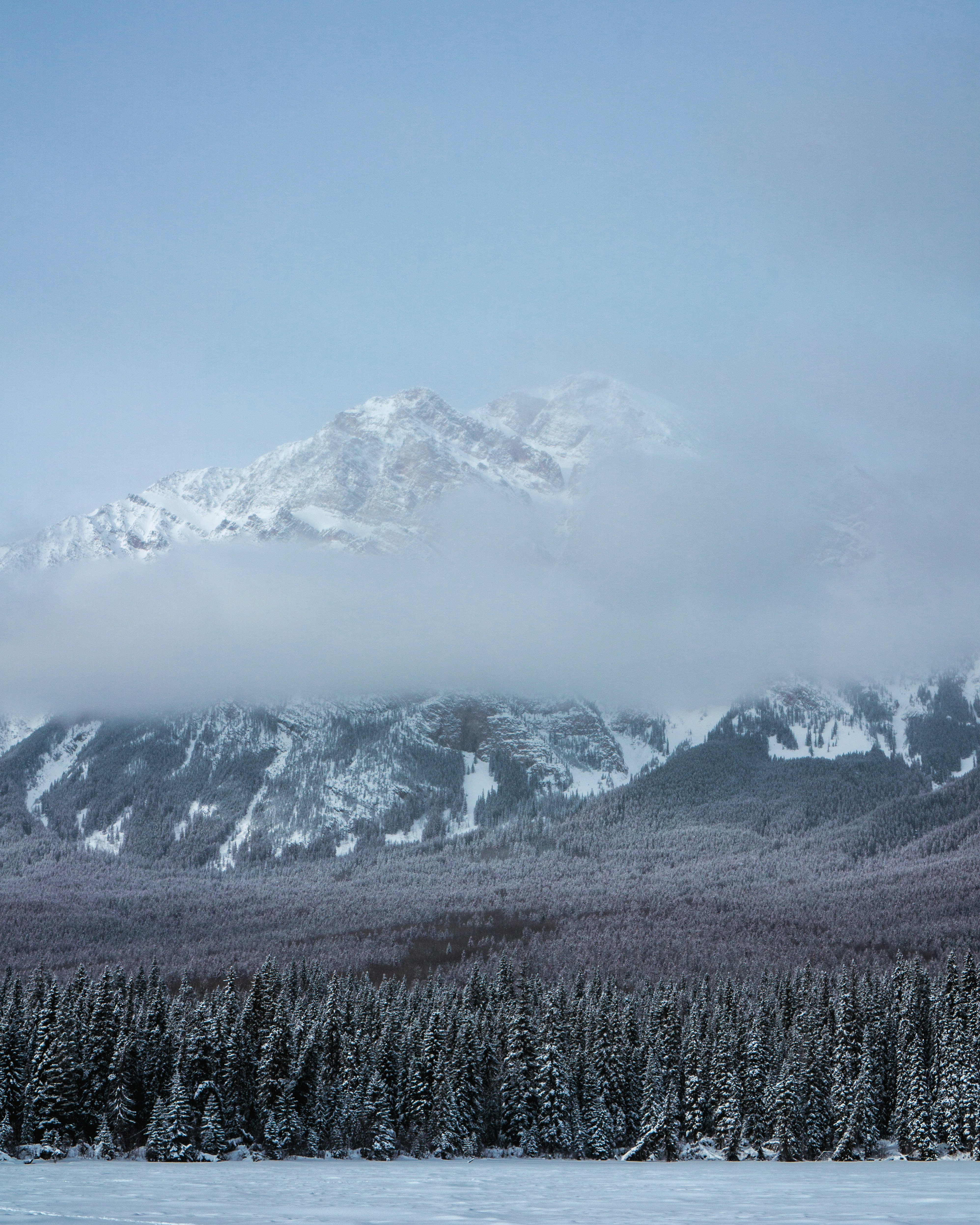 Photo by aperspectiveyeg