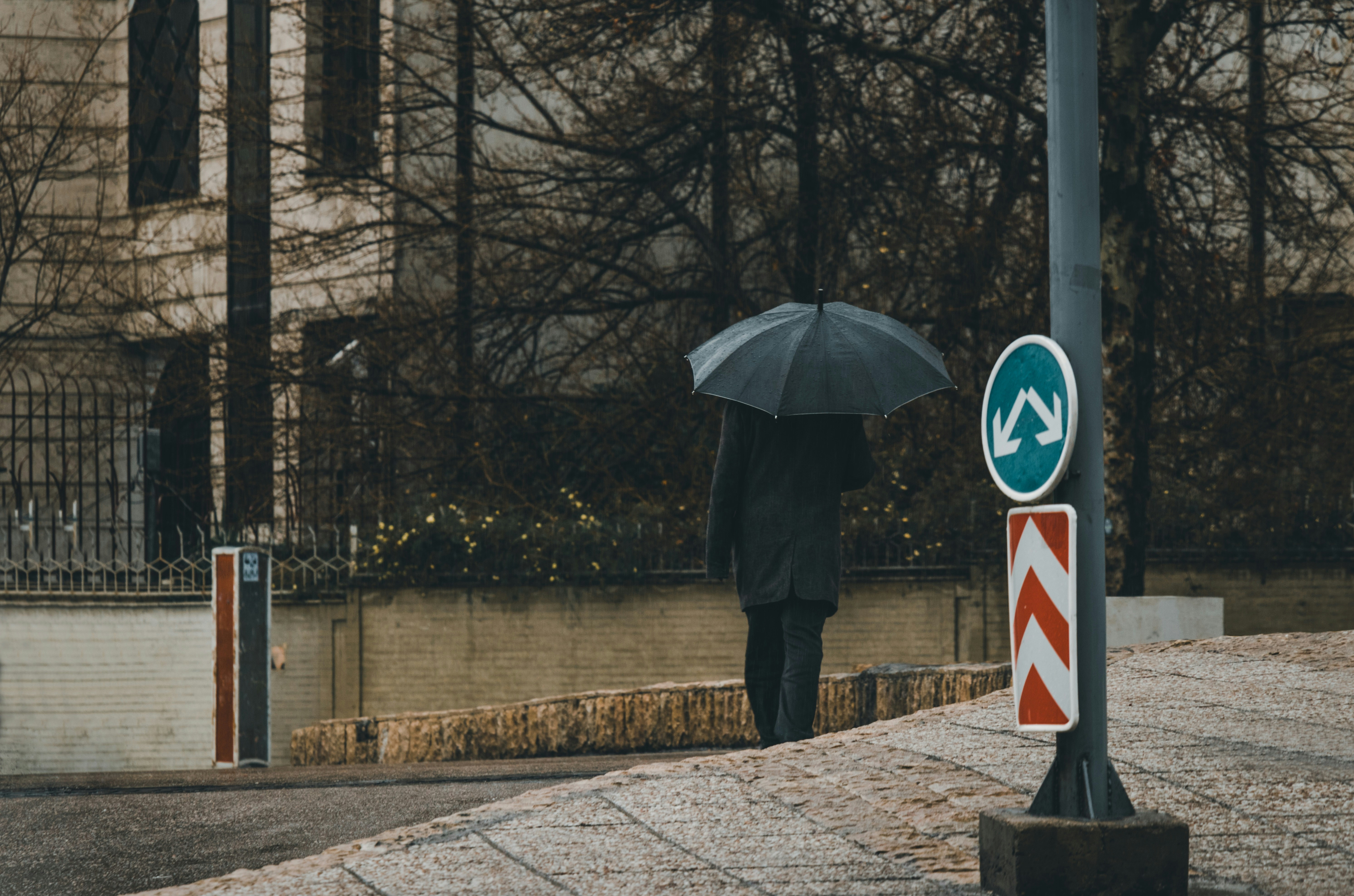 Photo by sajjadahmadi