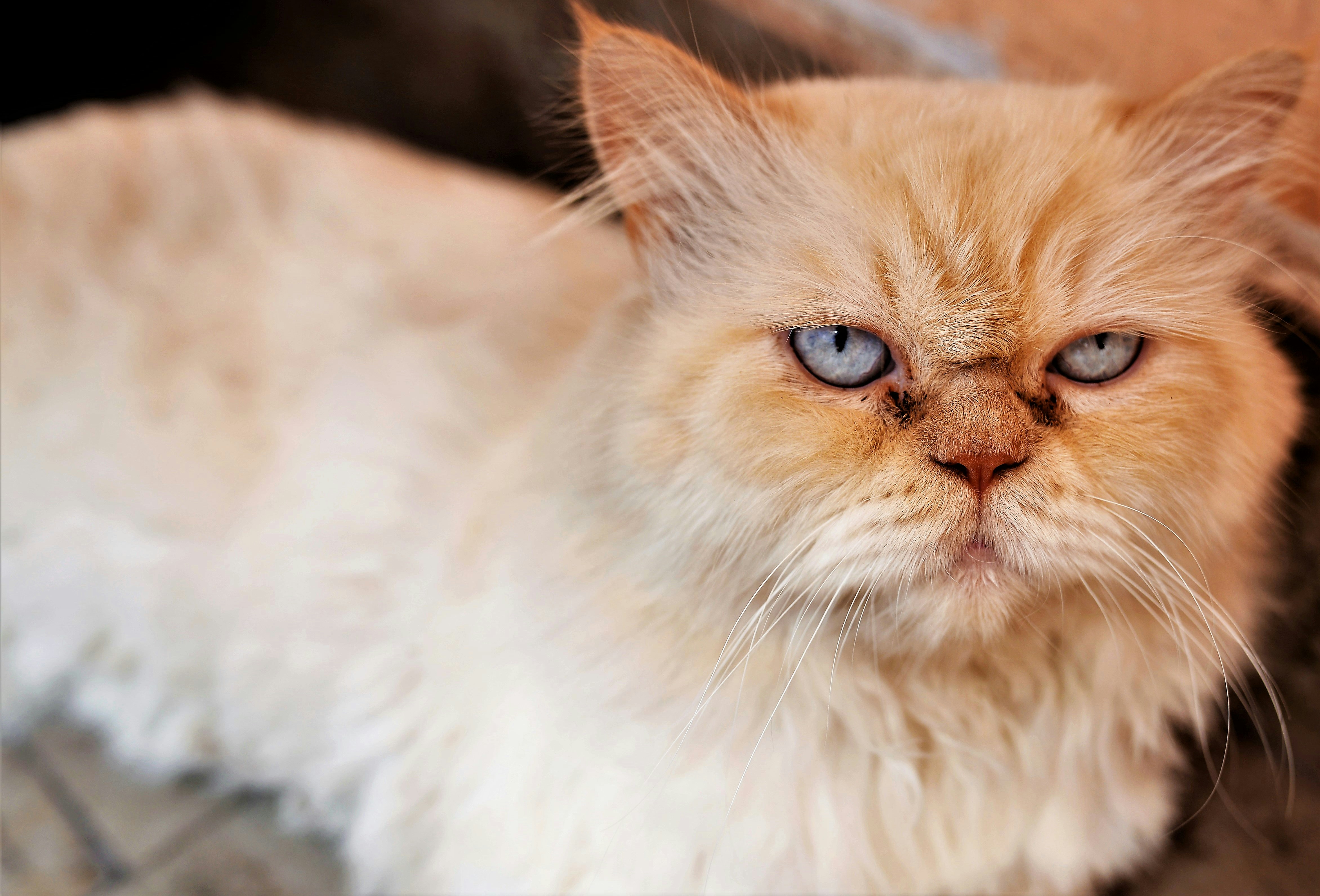 Photo by ginozurita11