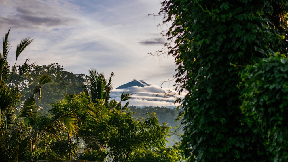 overview of mountain