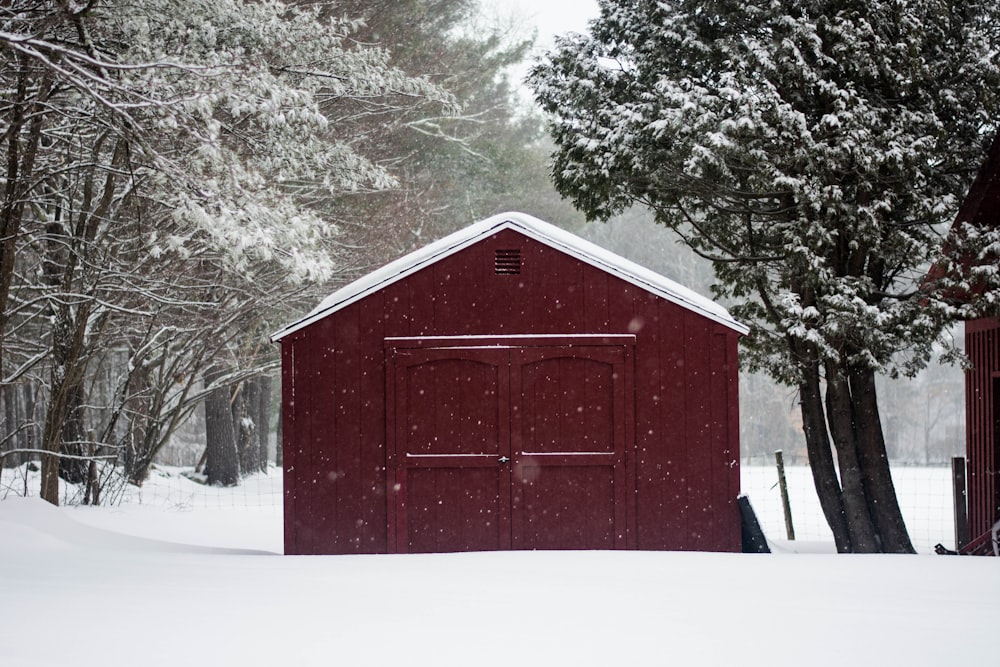 brown wooden shed beside tree