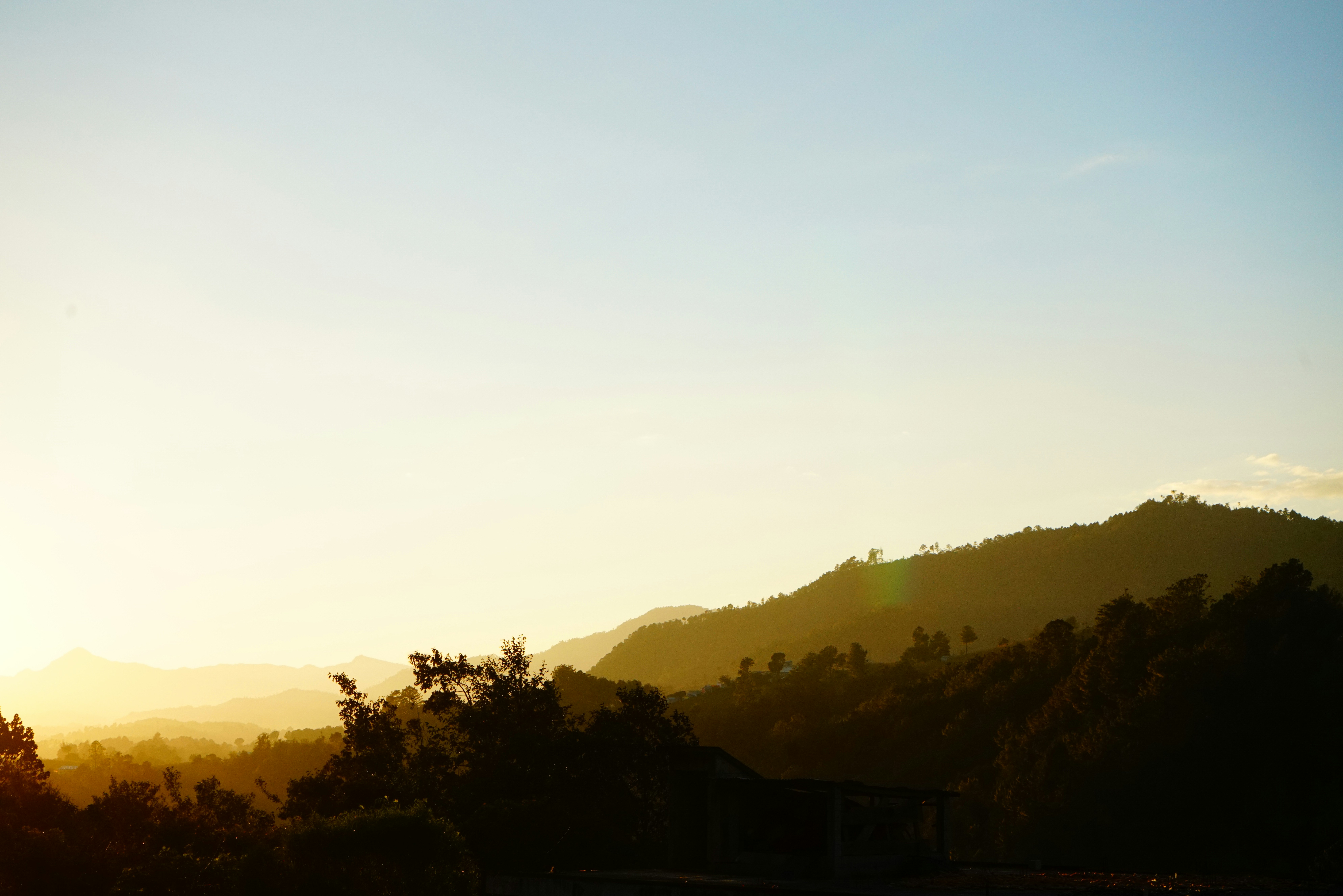Serene Morning Light