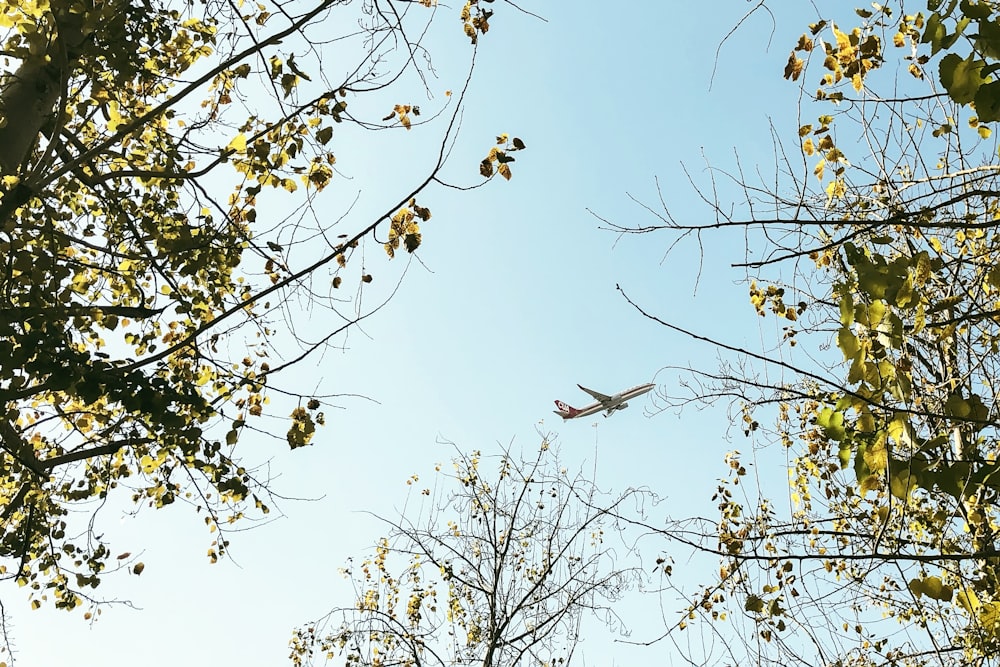 Flugzeug in der Luft