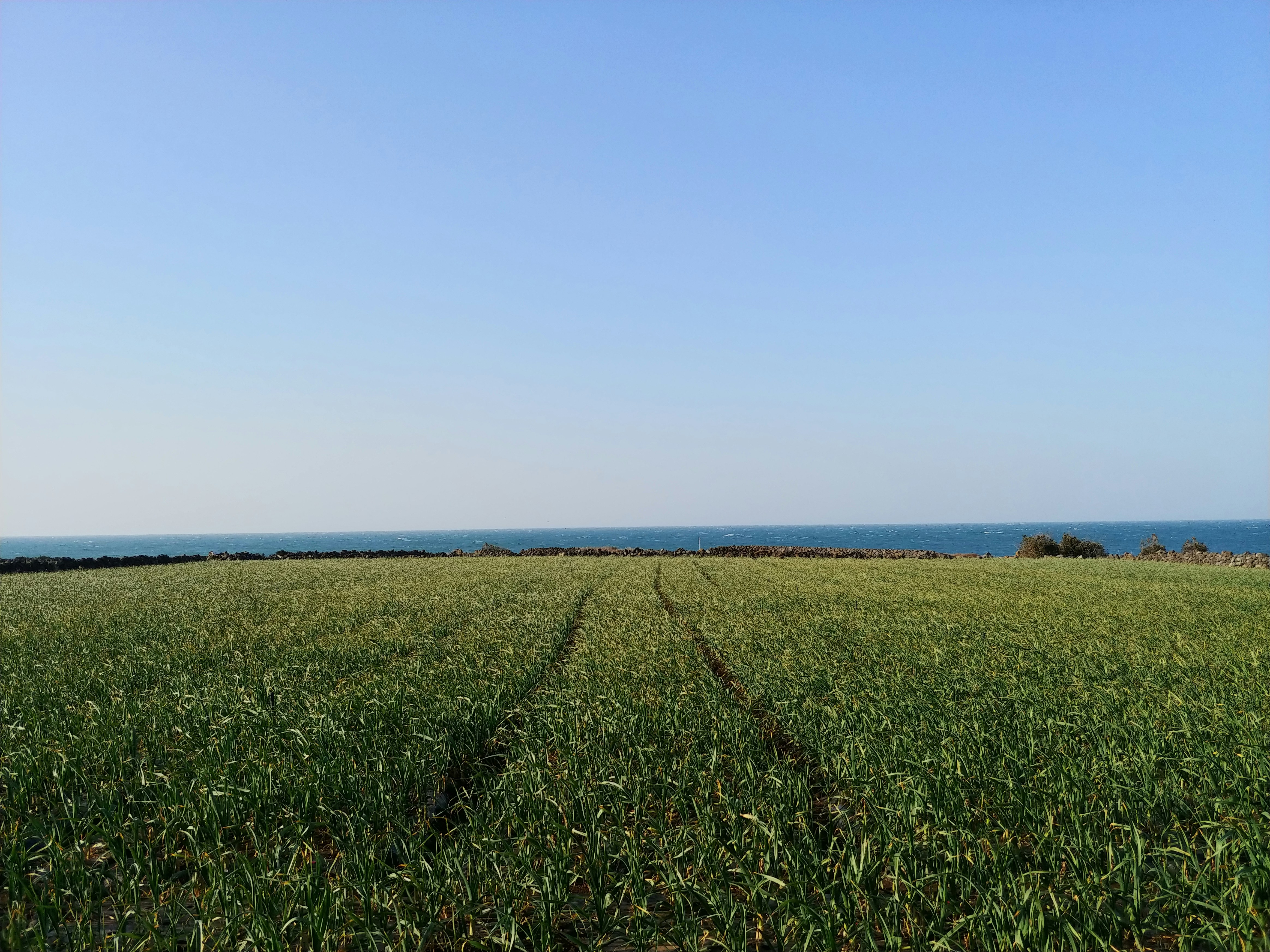 Photo by savannaboat