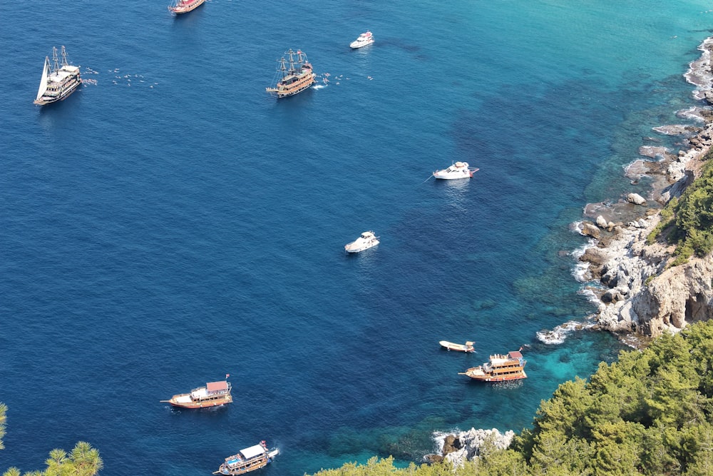 boats on sea