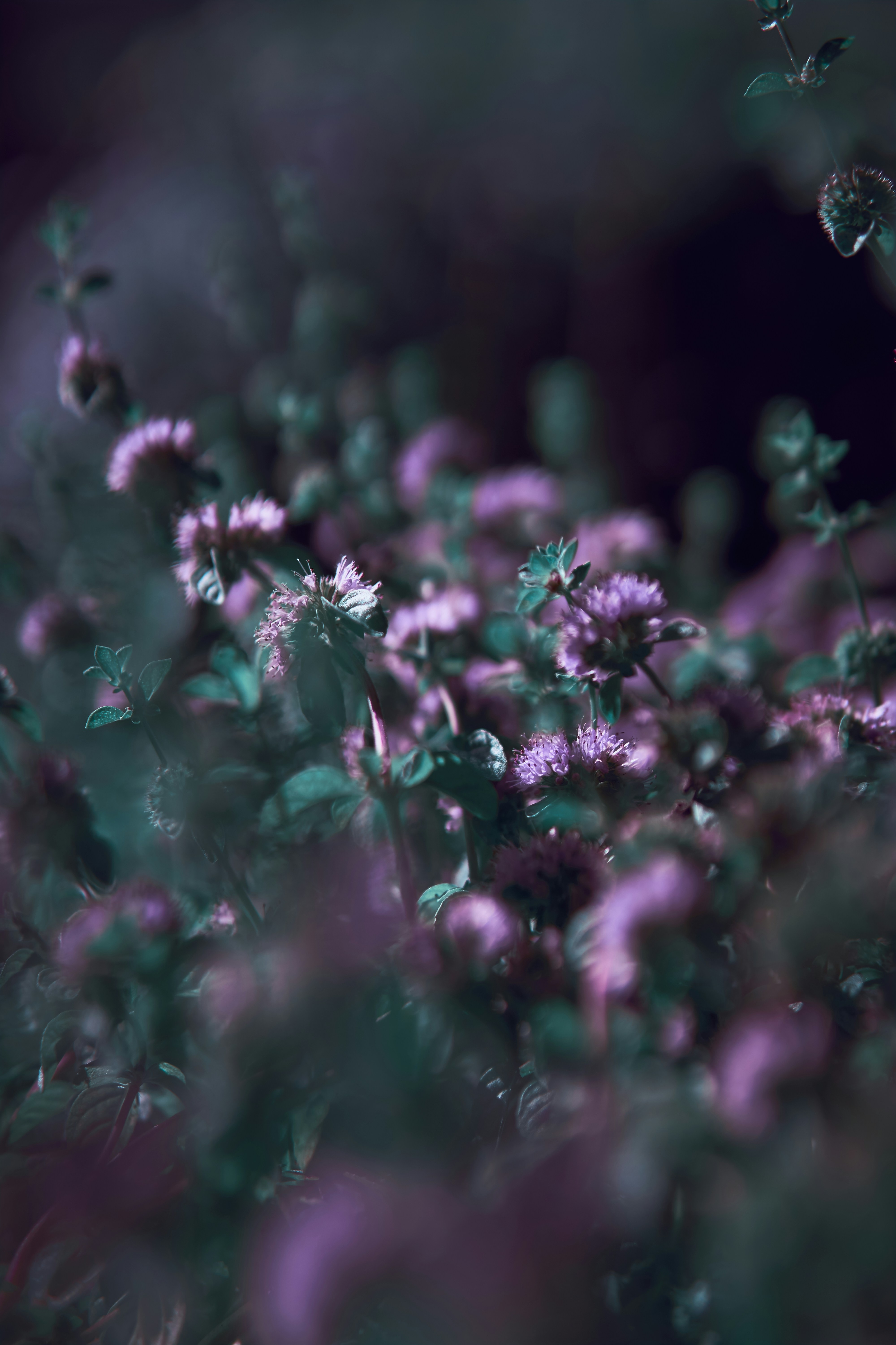 Photo by danielbuuren