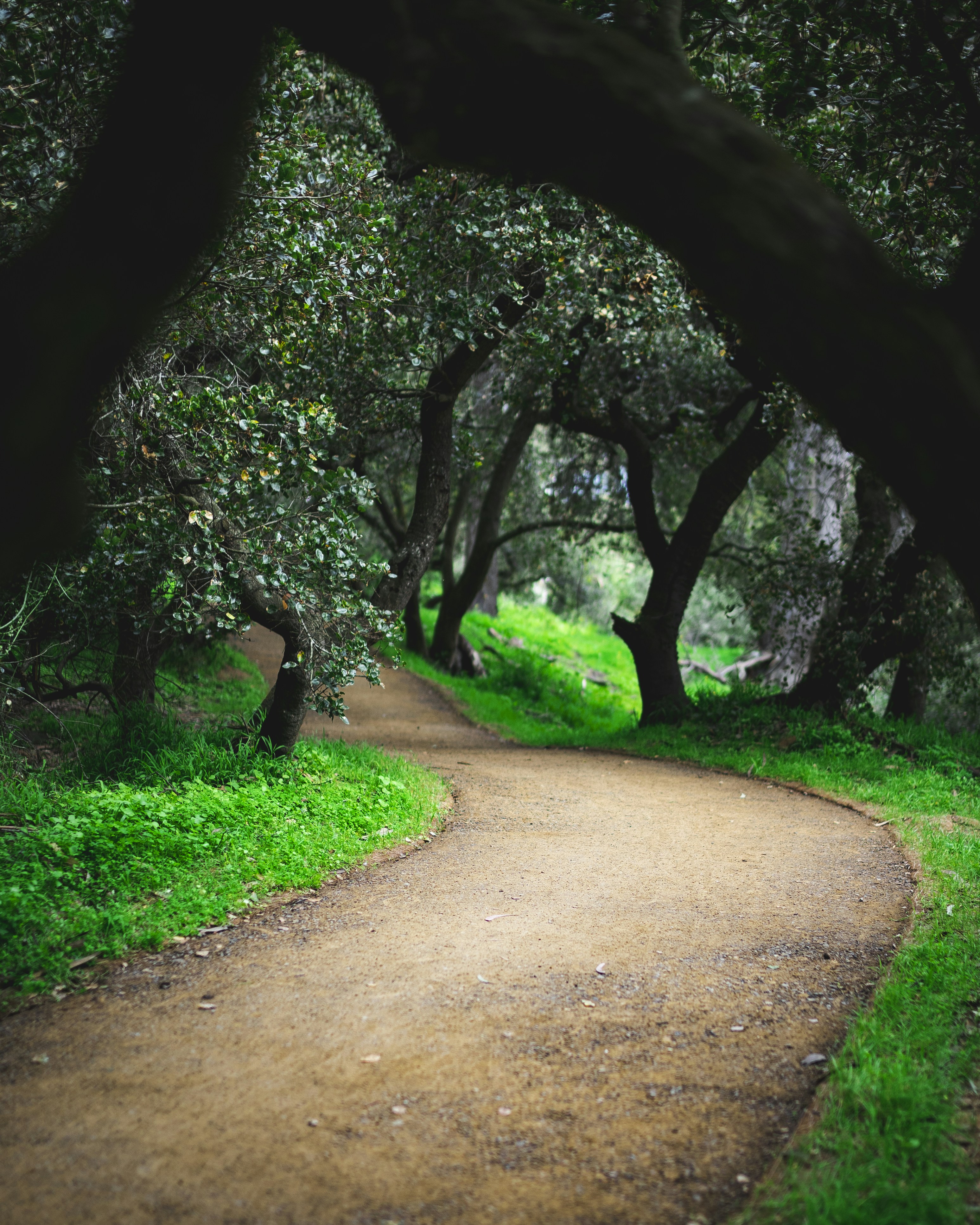 Photo by emilwidlund