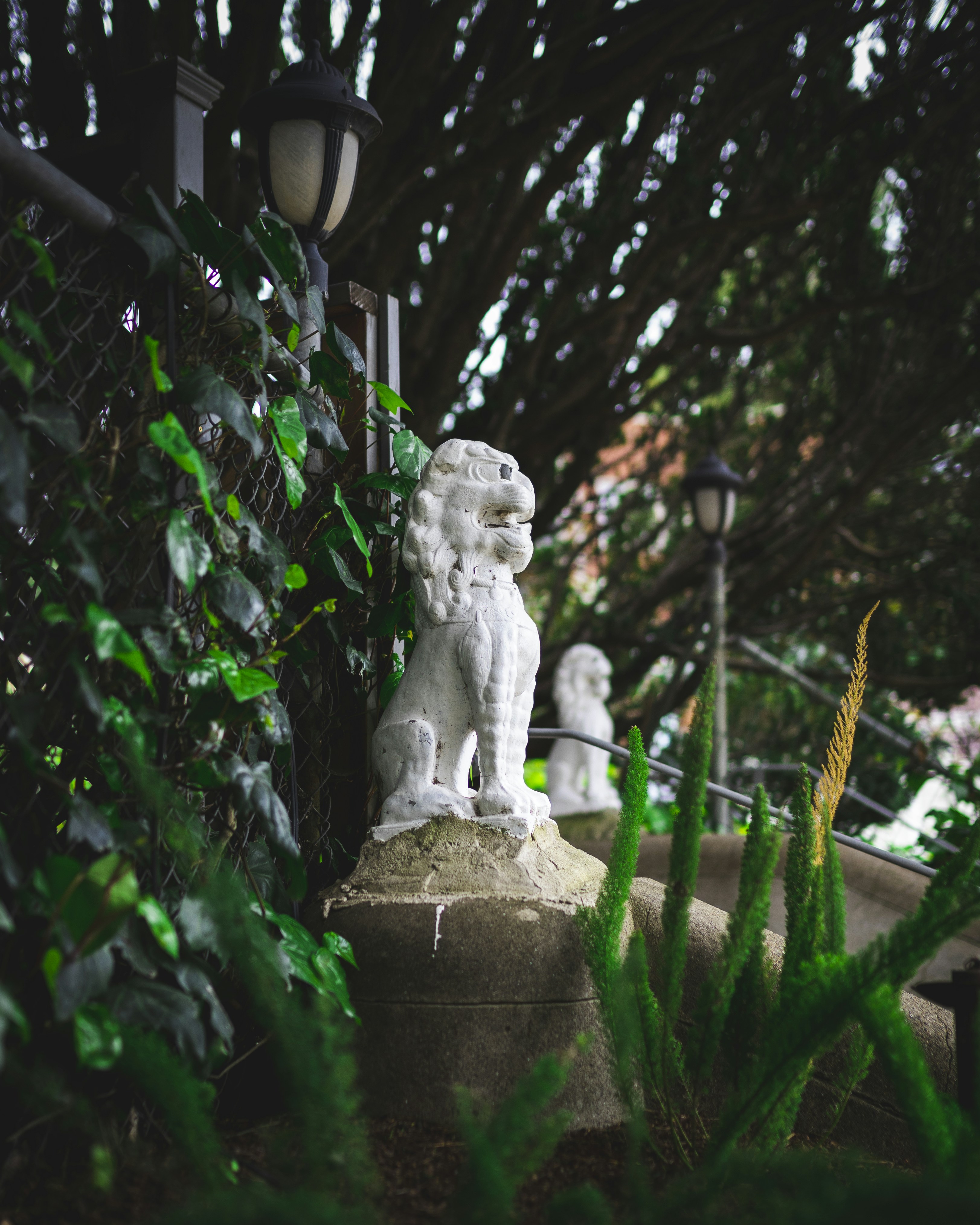 Photo by emilwidlund