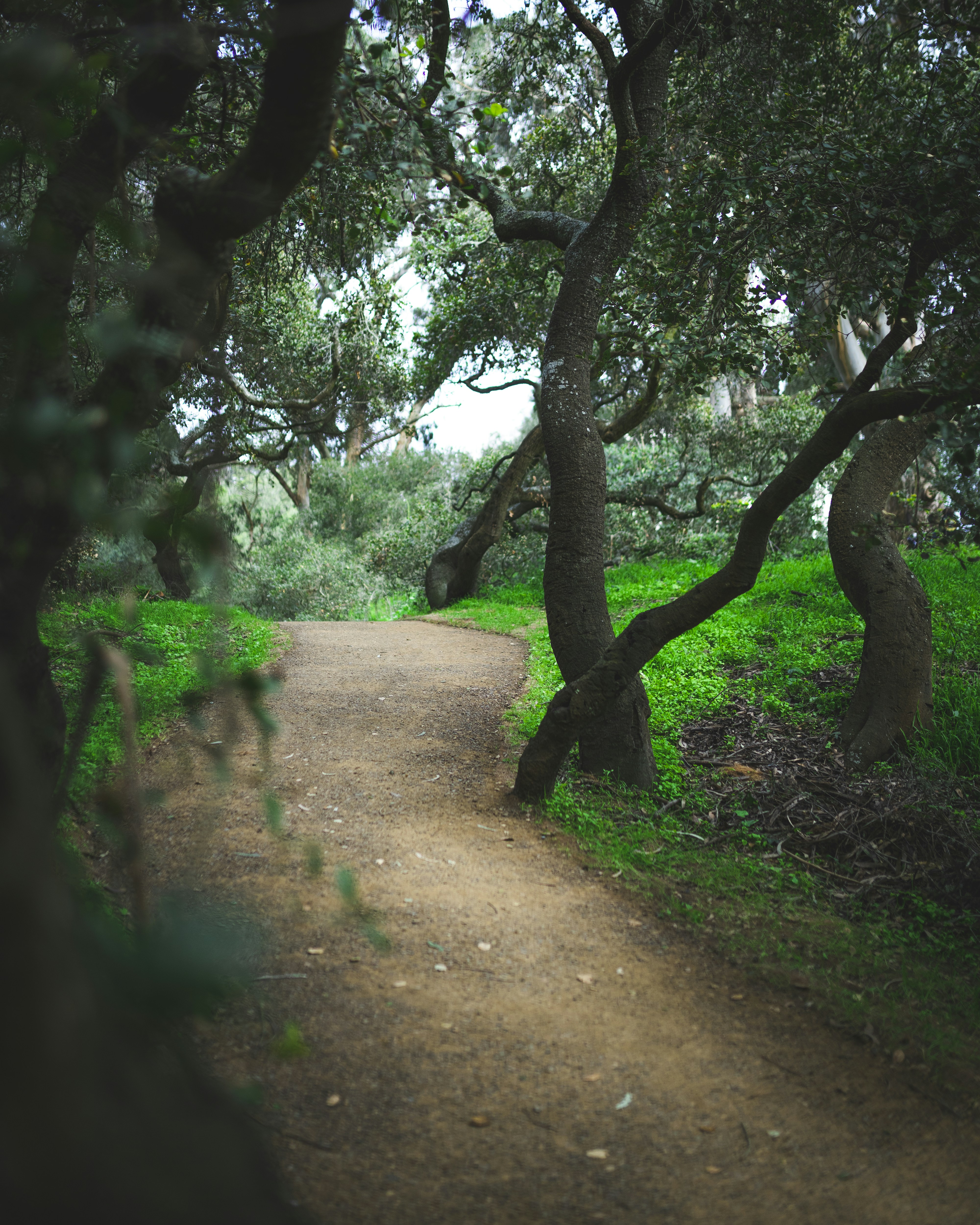 Photo by emilwidlund