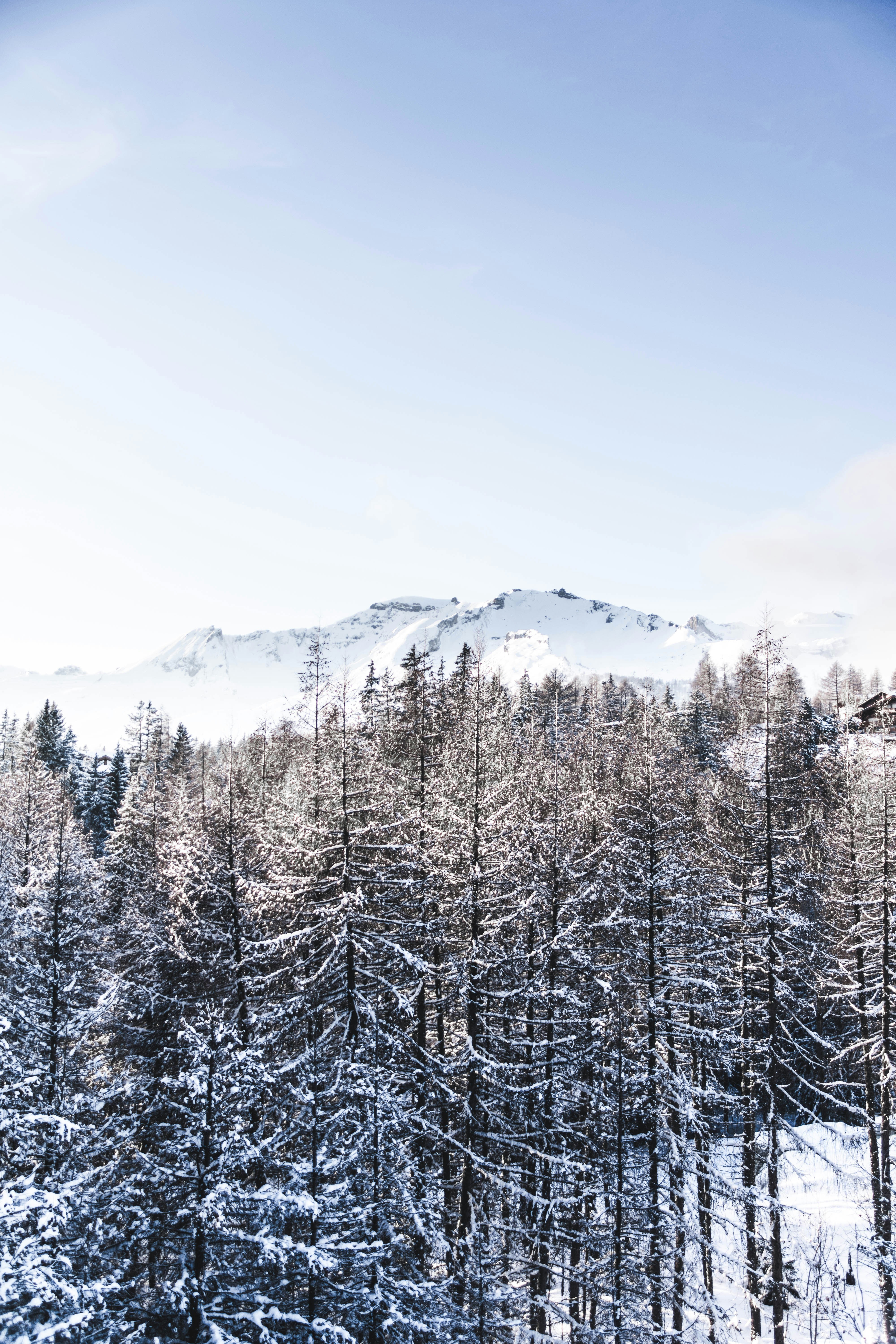 Photo by virussinside