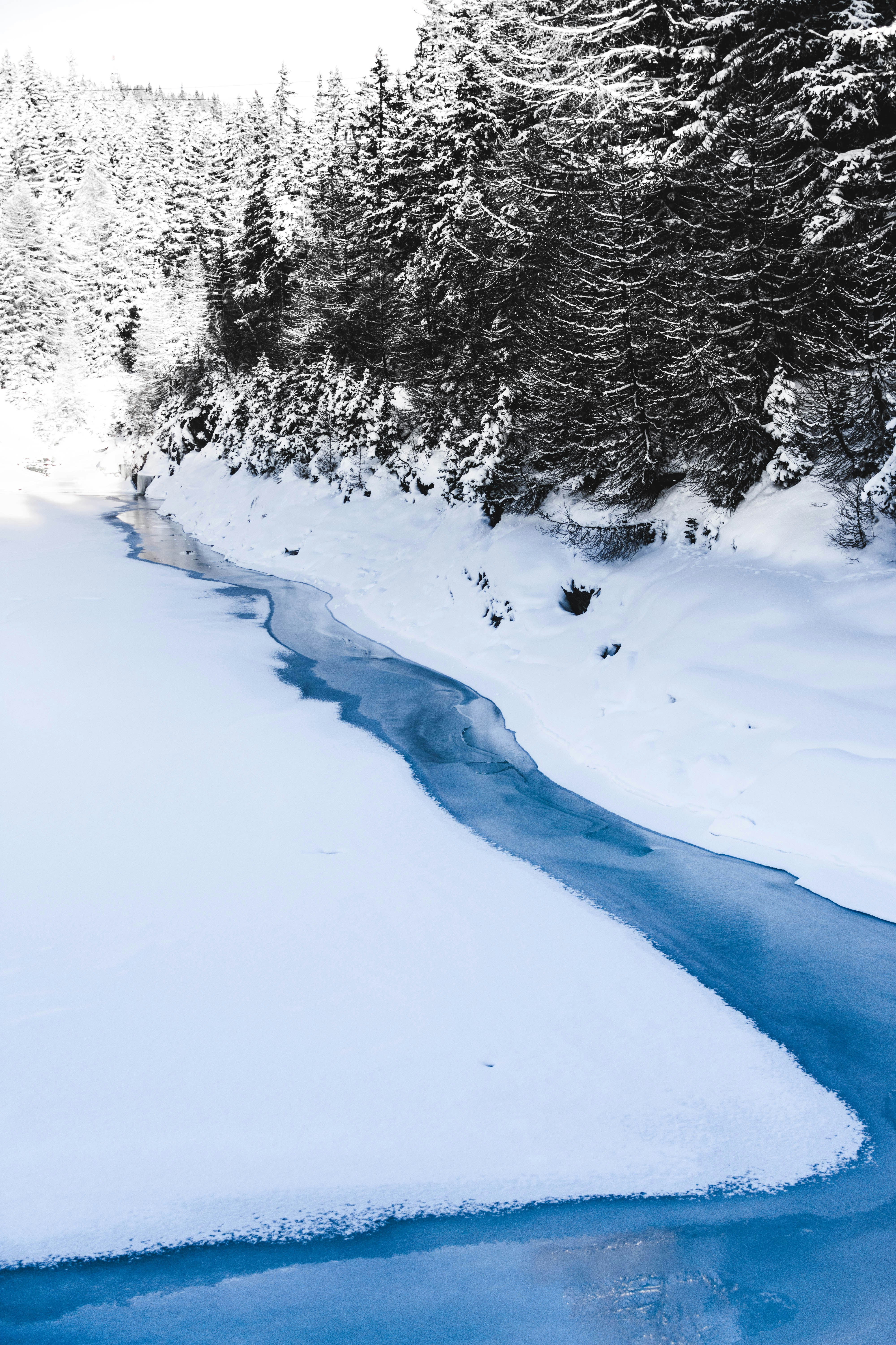 Photo by virussinside