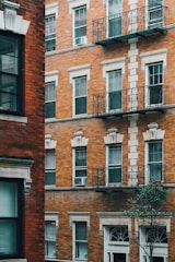 A close-up view of a classic brick apartment building featuring multiple windows with white frames and decorative iron balconies. The building exhibits an architectural style typical of older urban centers, complemented by a small tree in the foreground. The structures are characterized by their warm orange and brown tones.