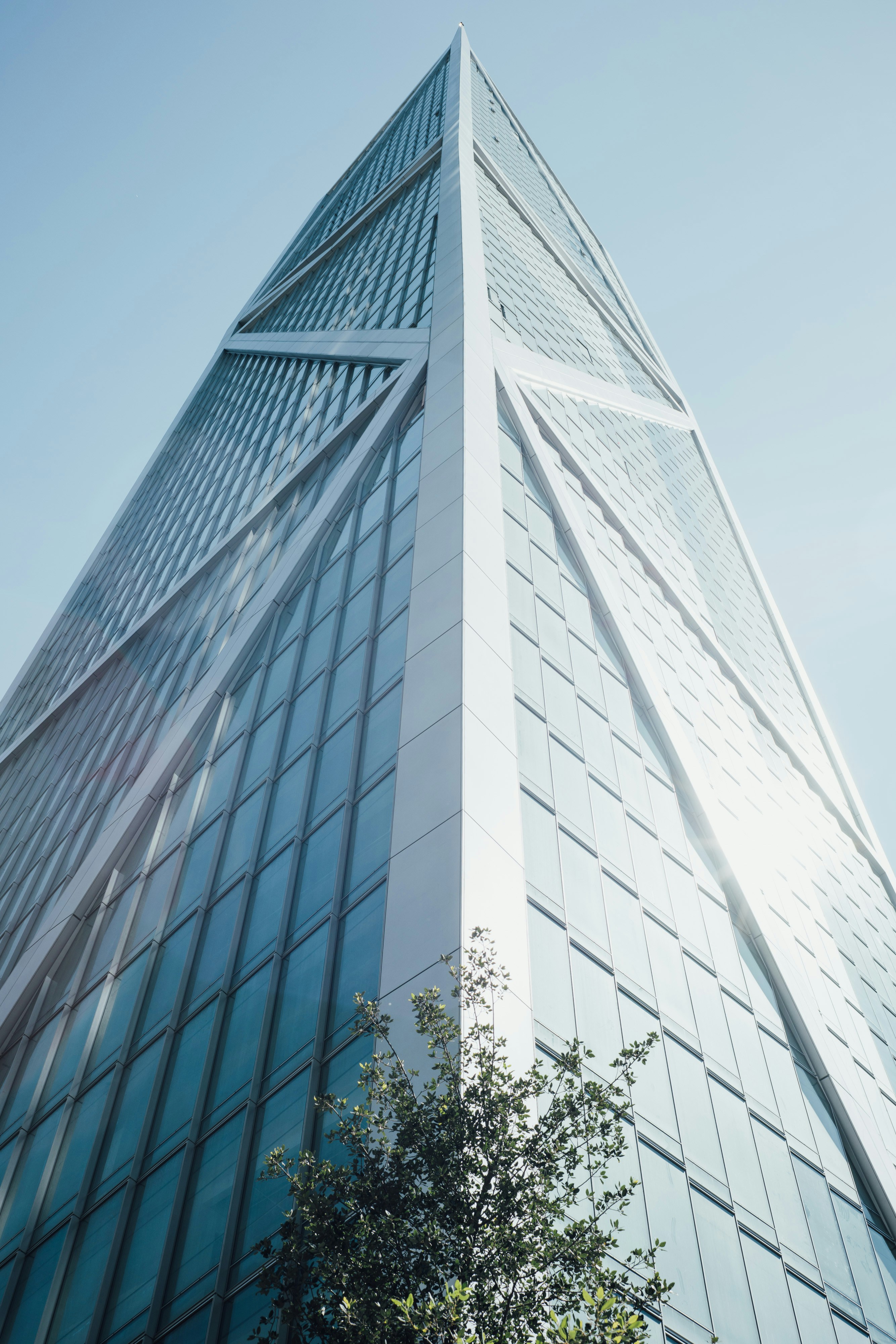 Photo by thommilkovic