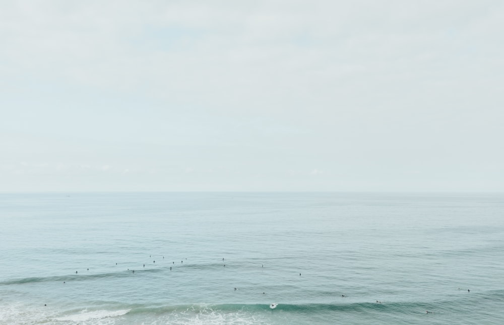 body of water during daytime