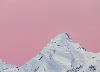 white and pink wallpaper