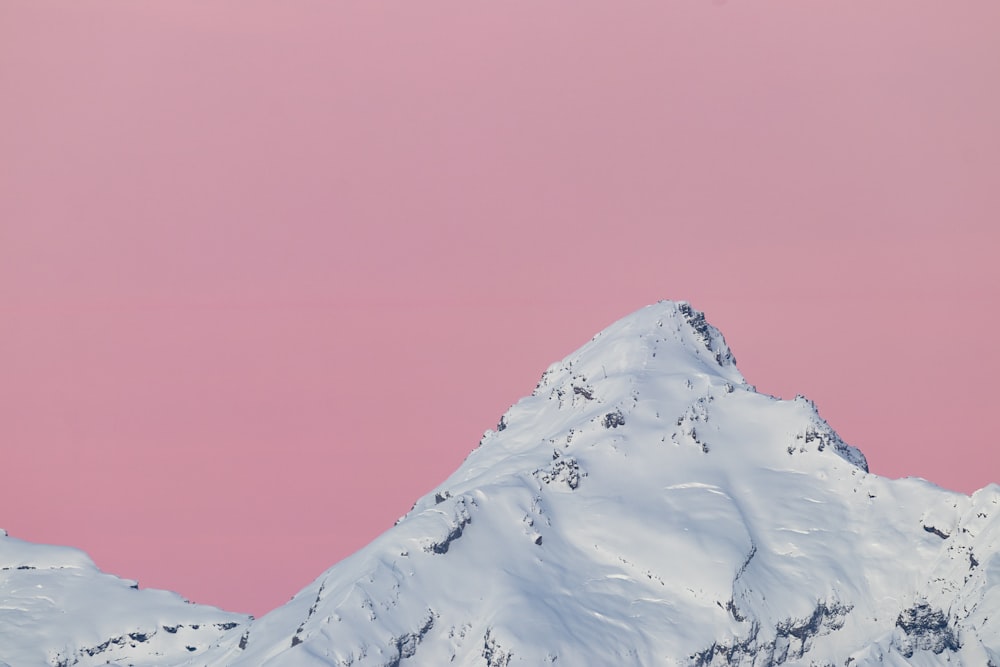 papier peint blanc et rose