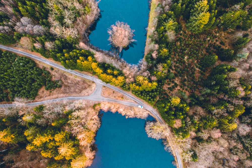 high angel photography of body of water and trees