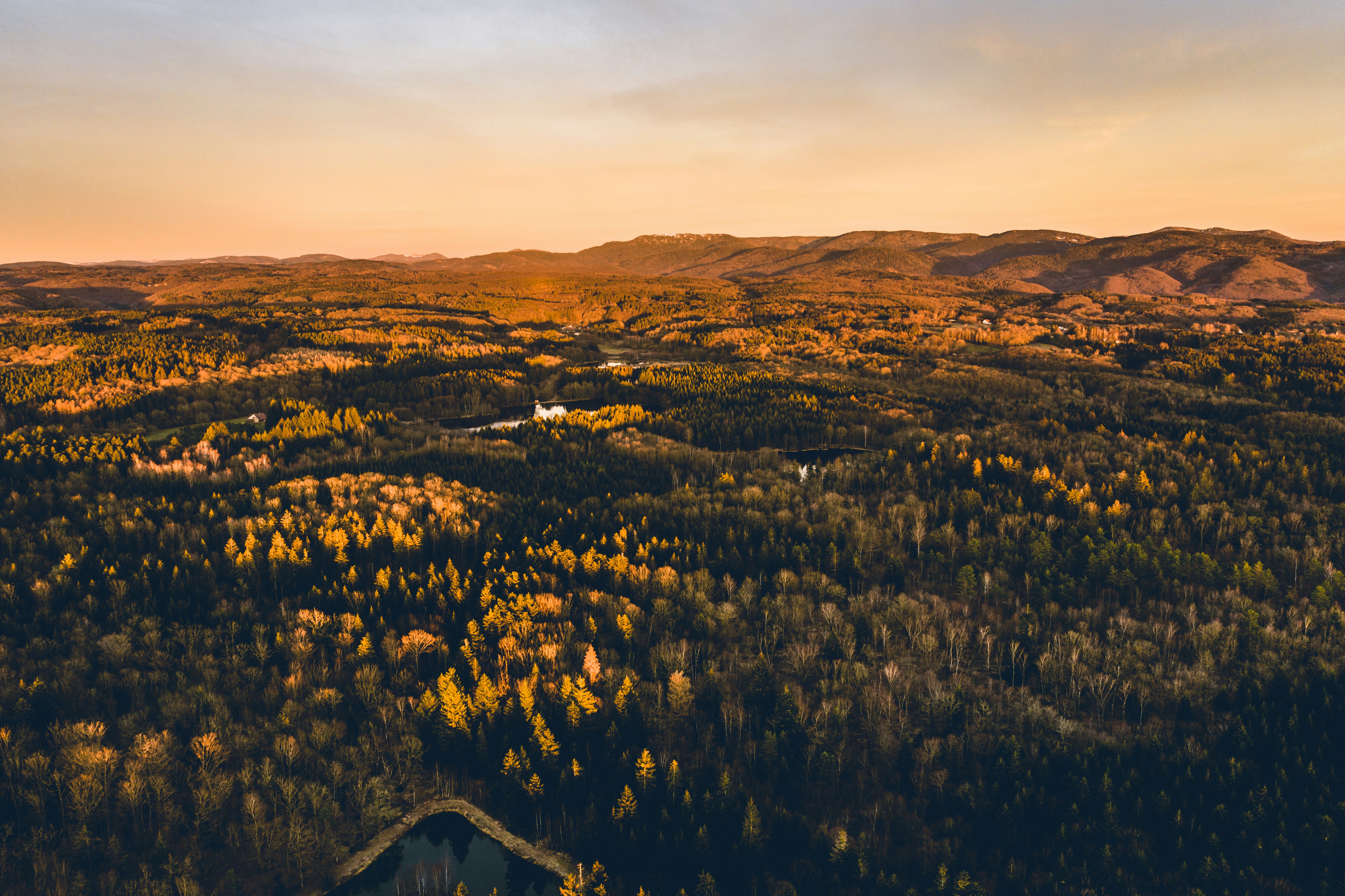 Photo by alexisantoine