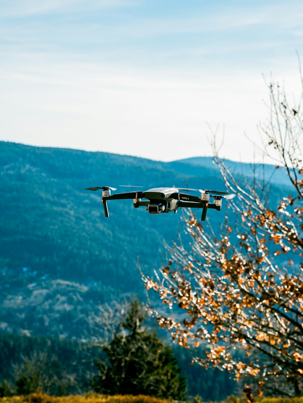 drone on air near brown-leaf tree during daytime