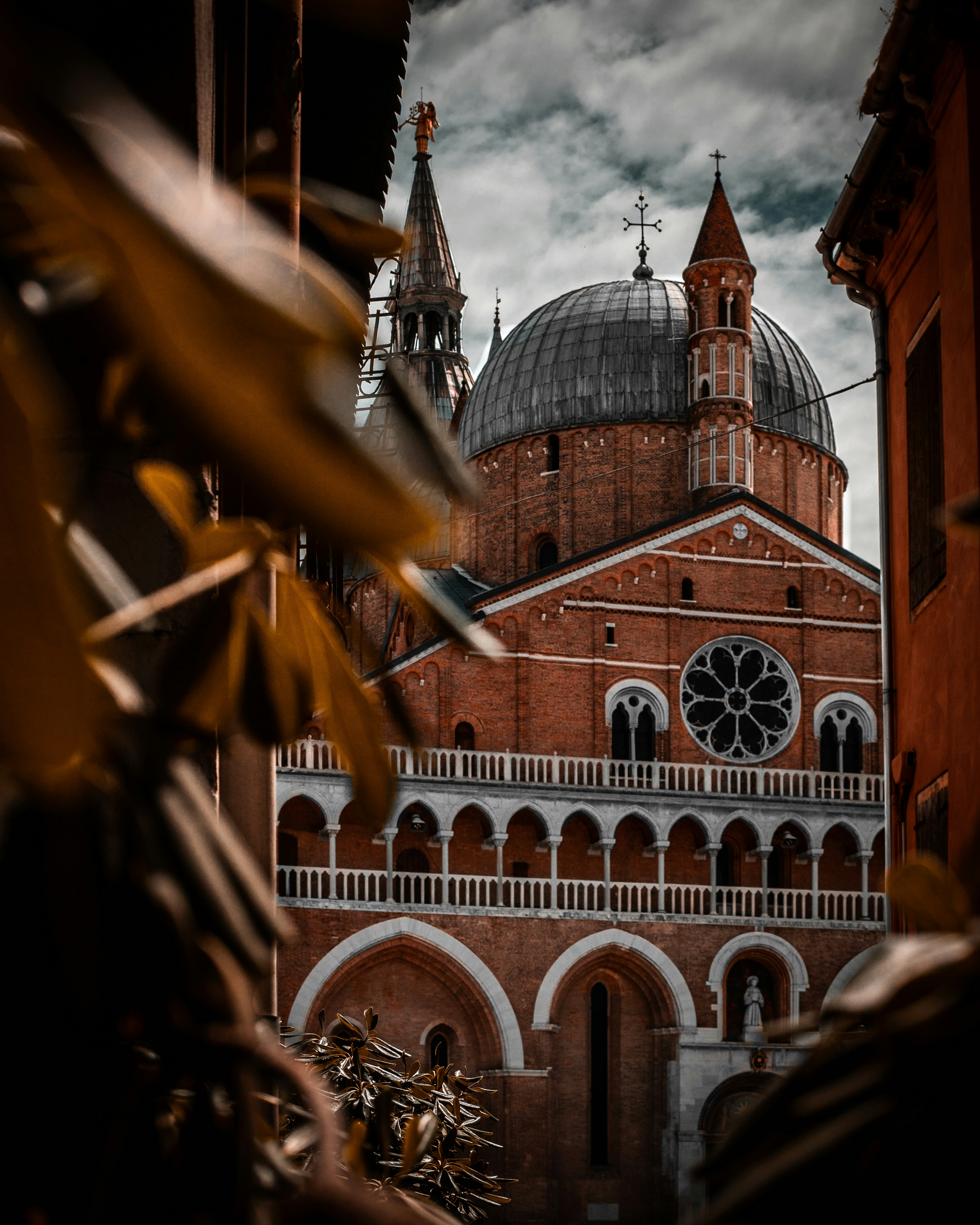 Photo by lorenzocerato