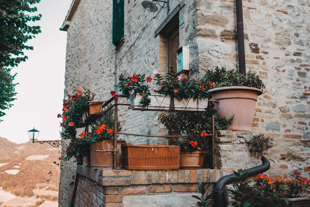 a building with a bunch of potted plants on it