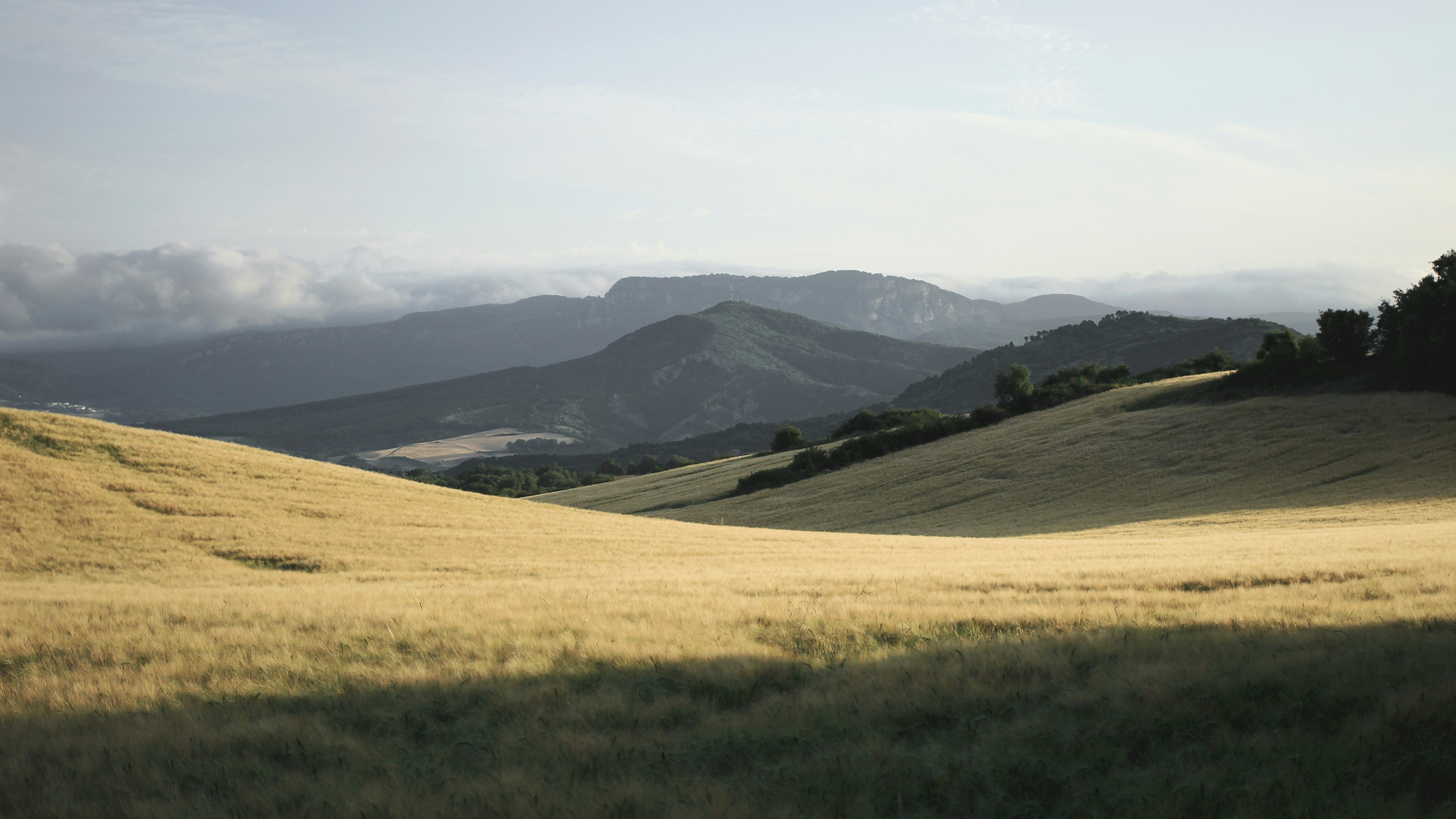 Previous Post Preview