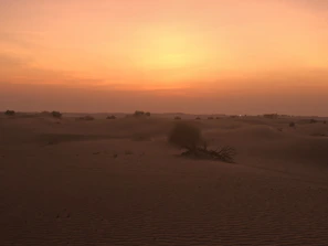 Golden desert dunes stretching towards a vibrant sunset horizon