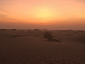 A stunning view of the Sahara Desert at sunset.
