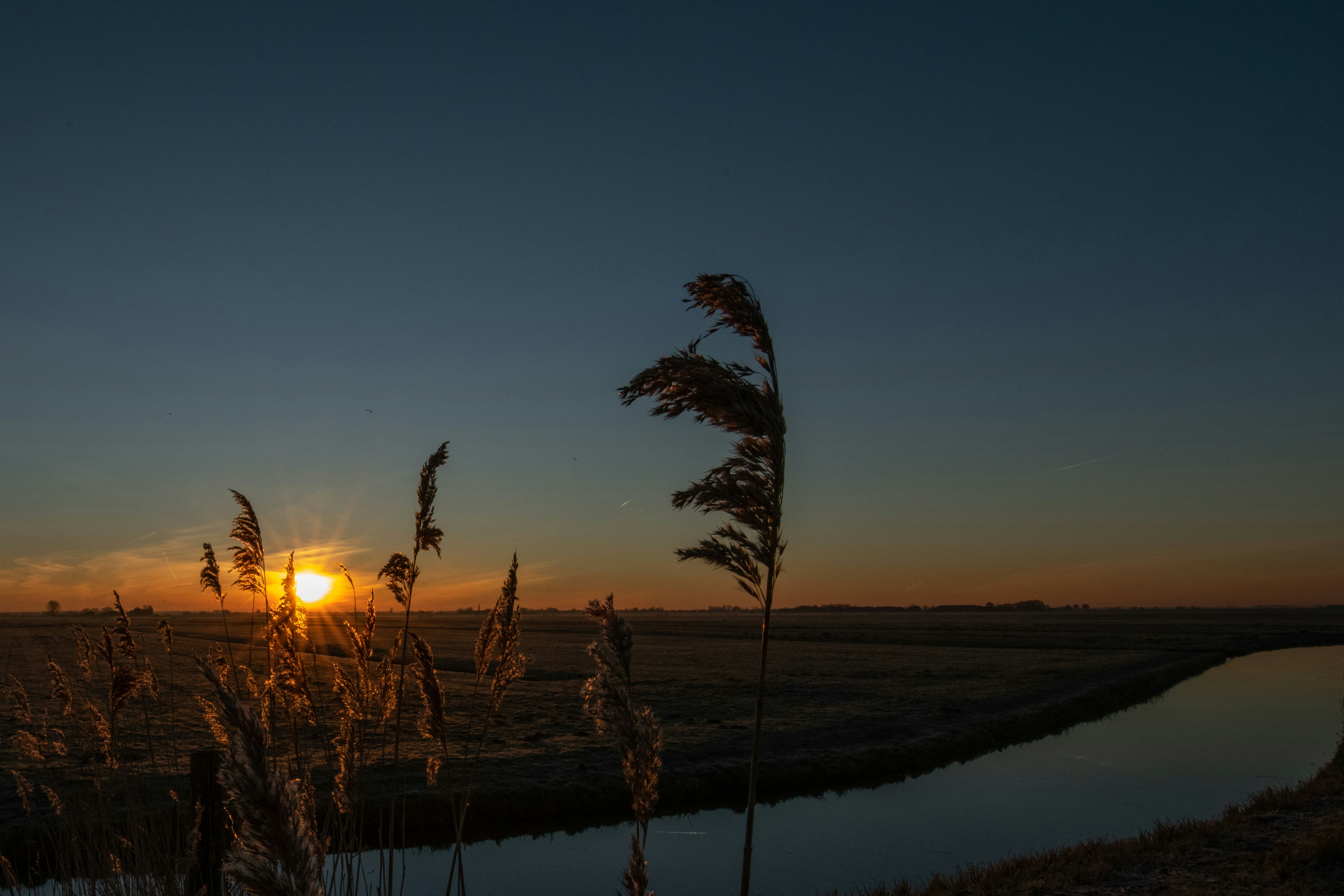 Photo by vincentvanzalinge