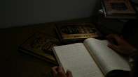 person holding quran book