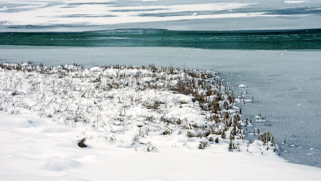 landscape photography of snow field