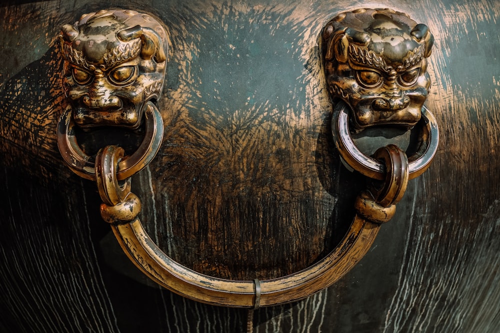 a close up of a wooden door with two lions on it