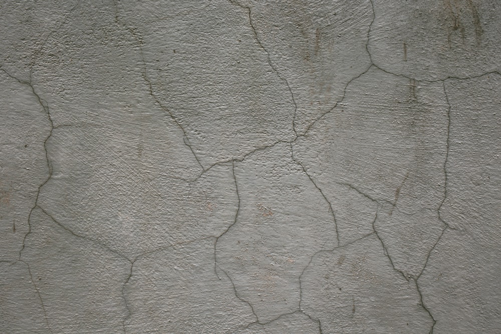 100 Concrete Texture Pictures Hd Download Free Images On Unsplash