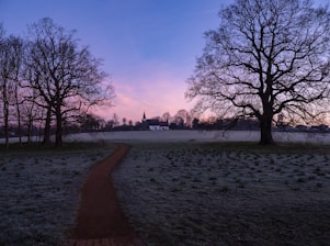 A serene landscape with a path leading through trees, symbolizing a journey of faith and discovery.