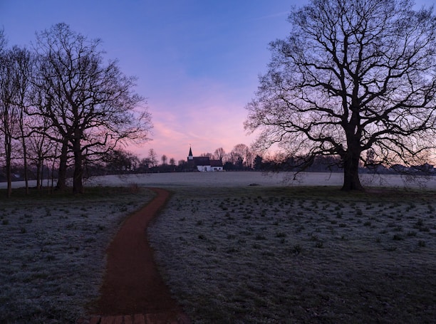 A serene landscape with a path leading through trees, symbolizing a journey of faith and discovery.