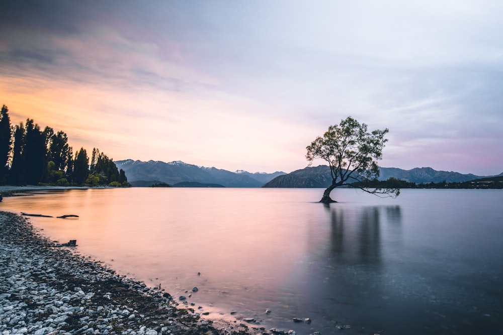 calm body of water