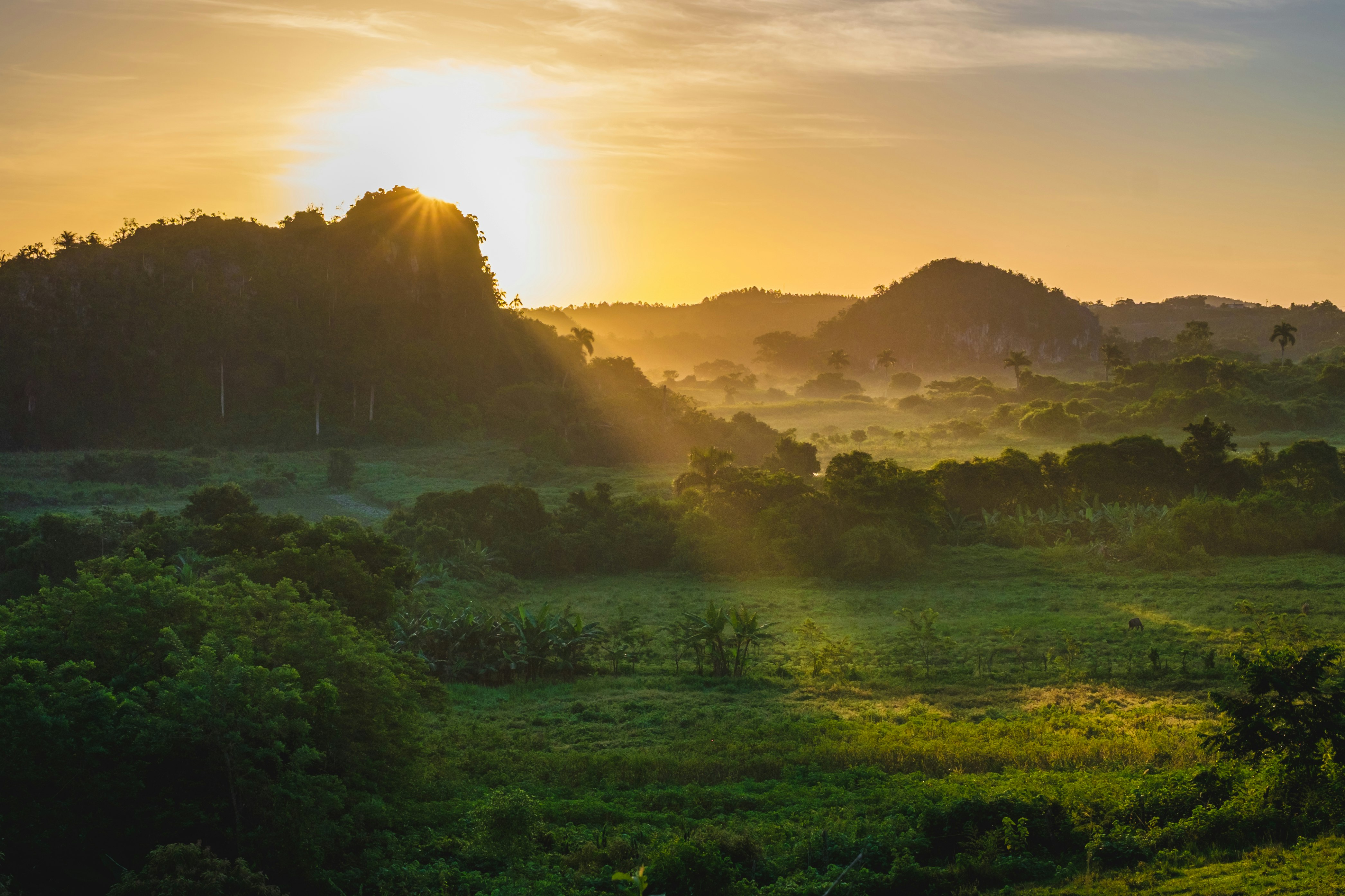 A nice guy took us horsbackriding in the early morning to watch the sun rise over the valley of Viñales. Arriving on top of a hill the first sun rays of the day illuminated the valley.