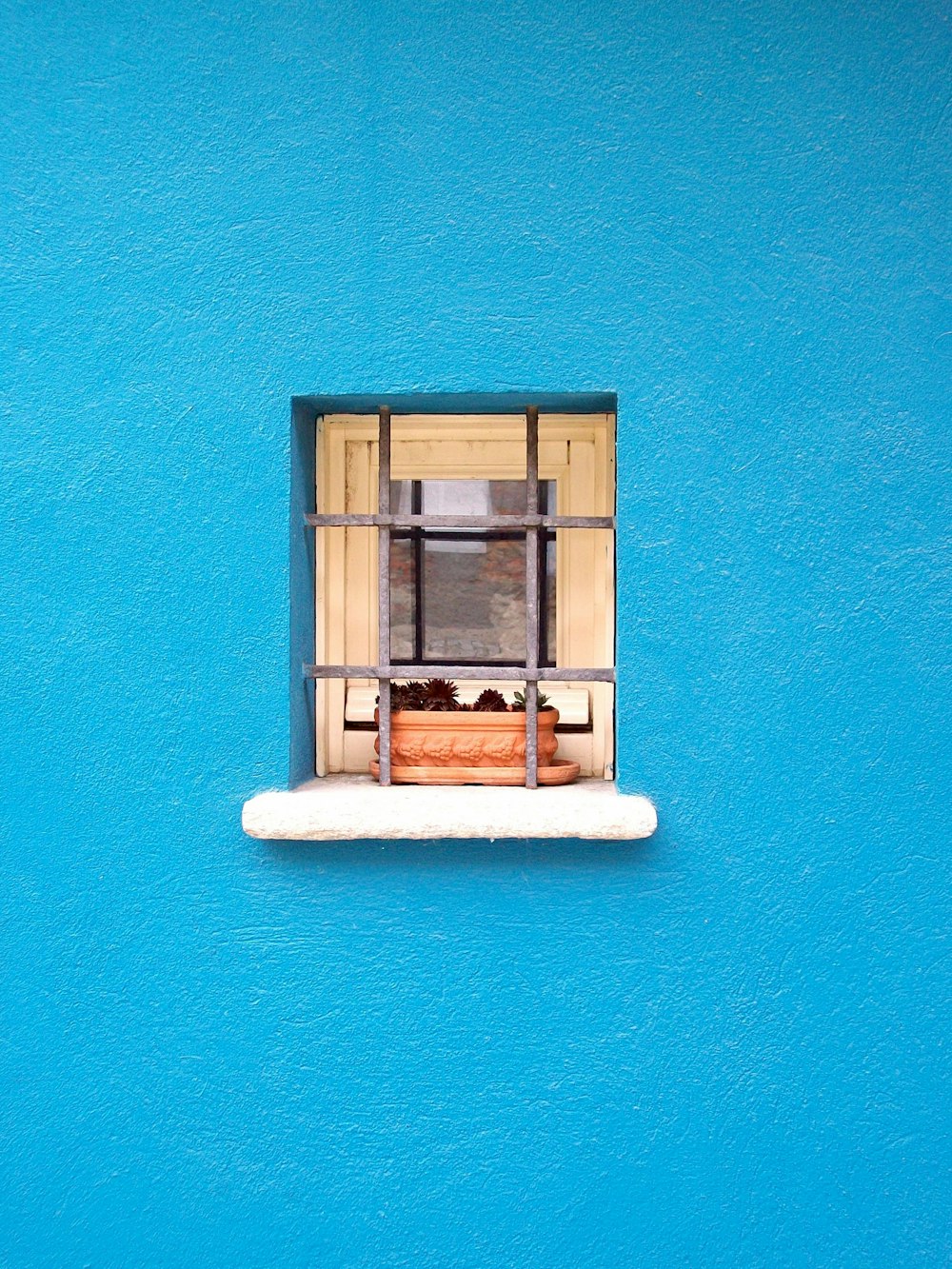 brown clay pot on window