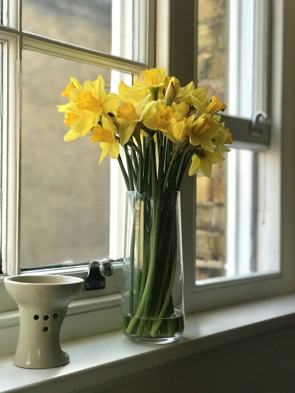 yellow flowers in vase beside window