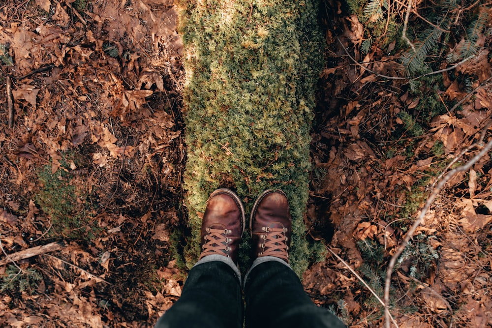 person standing on wood log