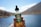 A hand is holding a small bottle labeled 'Hemp Daddy’s Therapeutics' containing hemp extract with a dropper cap. The background shows a blurred outdoor setting with clear blue sky and bodies of water, suggesting a lake or pond area.