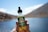 A hand is holding a small bottle labeled 'Hemp Daddy’s Therapeutics' containing hemp extract with a dropper cap. The background shows a blurred outdoor setting with clear blue sky and bodies of water, suggesting a lake or pond area.