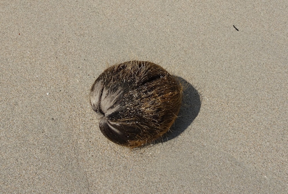 black coconut husk