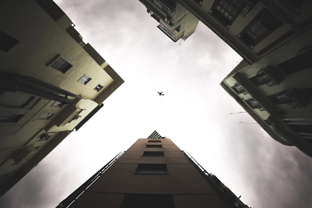 low-angle photography of airplane during daytime