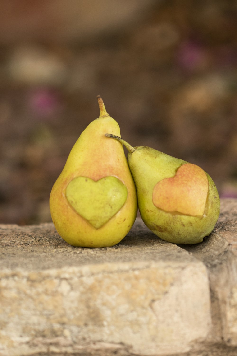 two pears on concrete surface