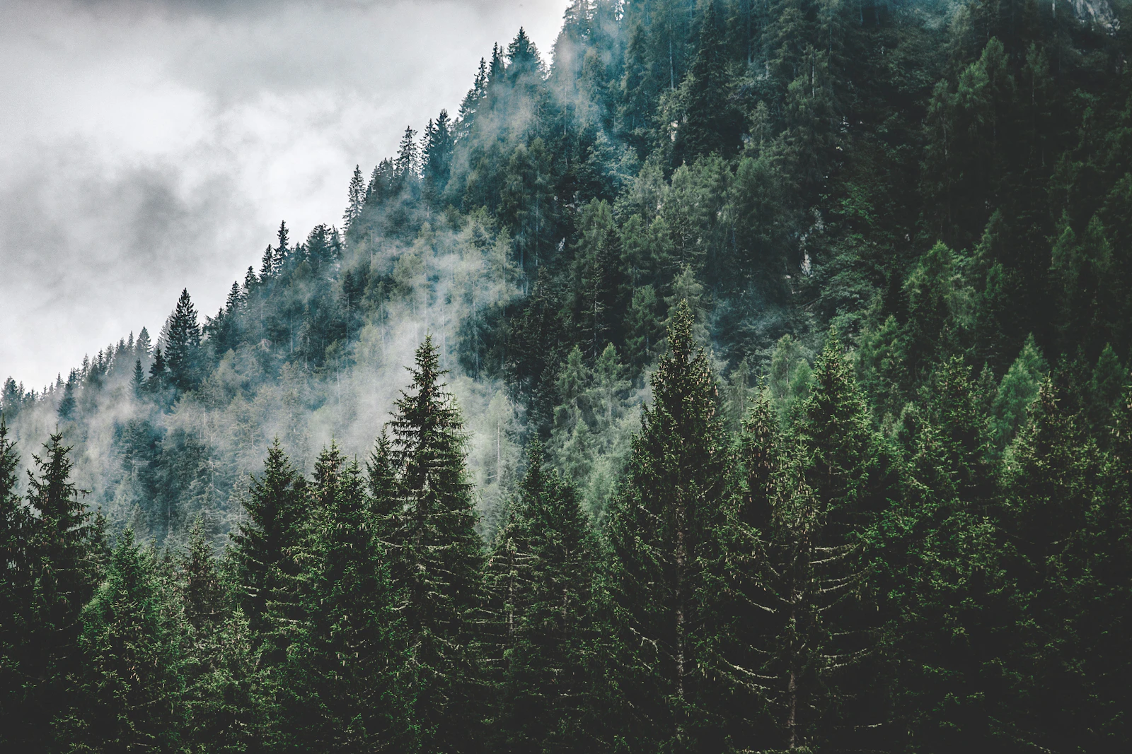 Does Nevada County Have Bad Air Quality From Wildfire Smoke?,Bob Sawyer