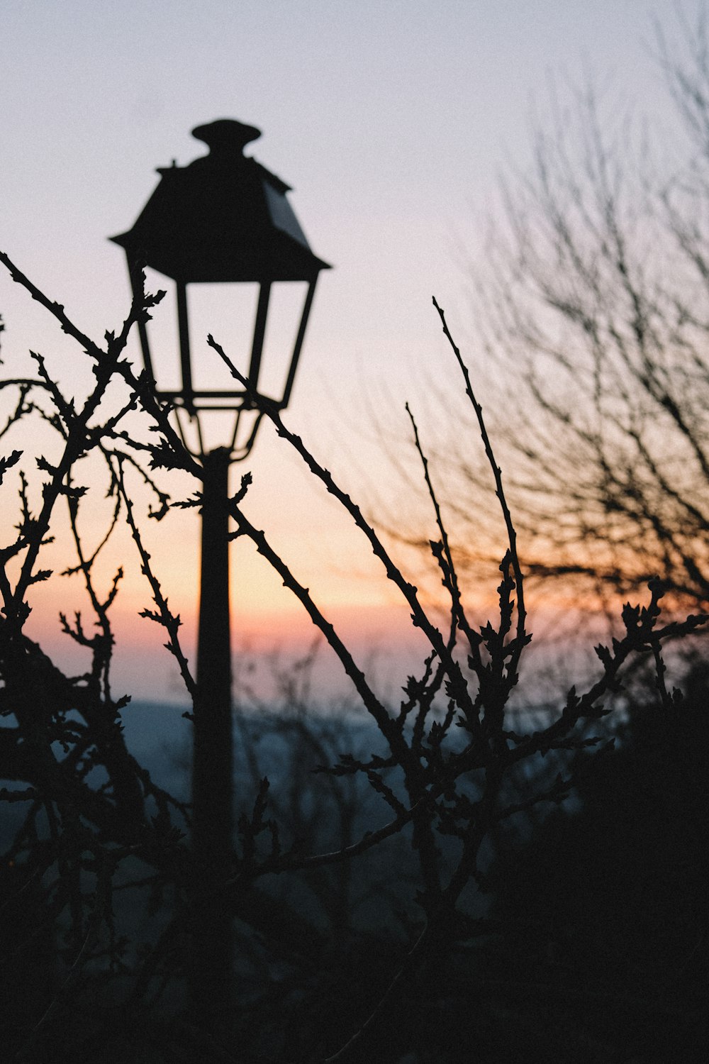 black post lamp surrounded by trees