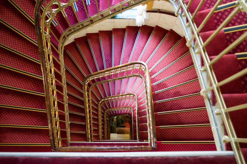 top-view photography of pink spiral stairs