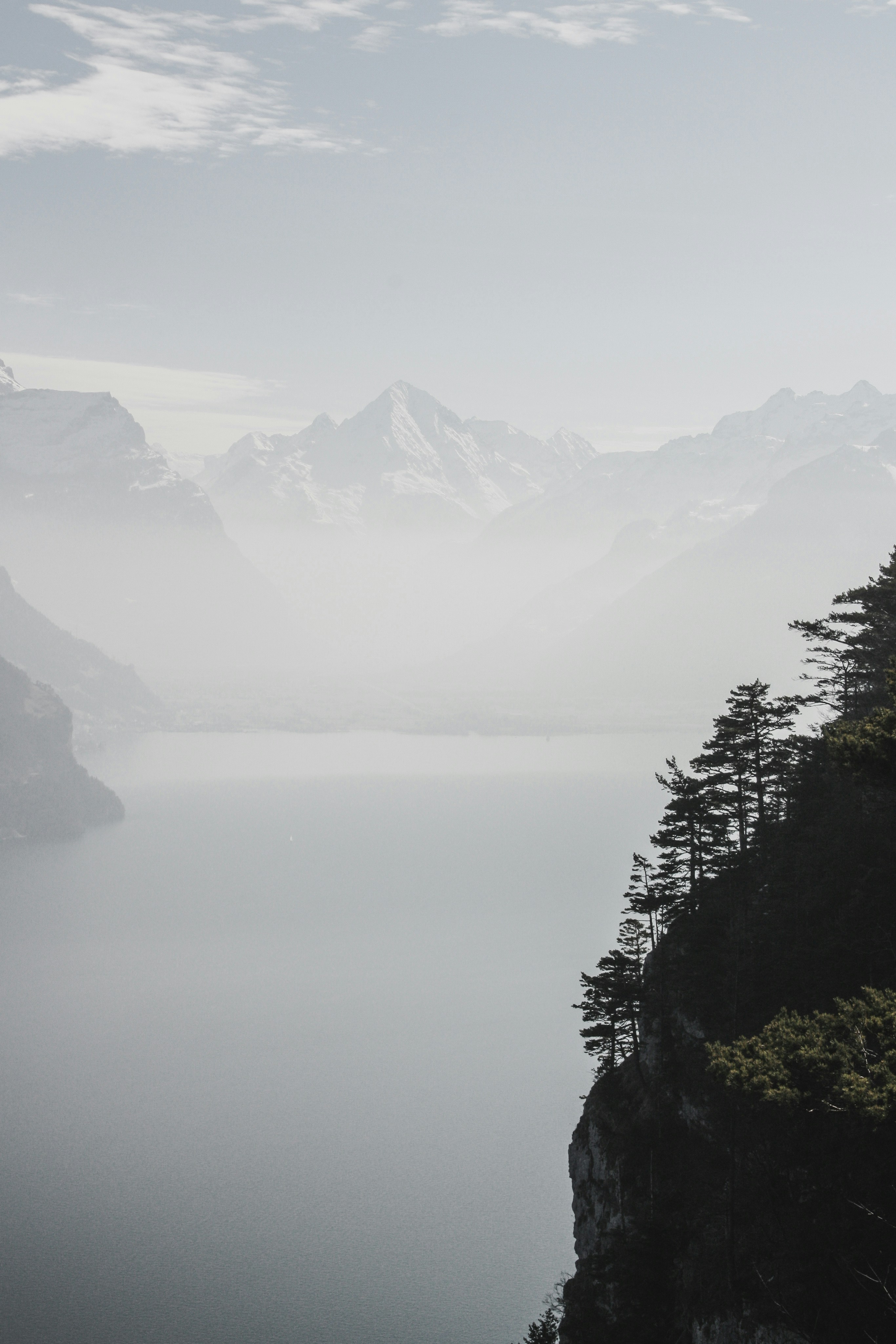 Photo by theverticalstory
