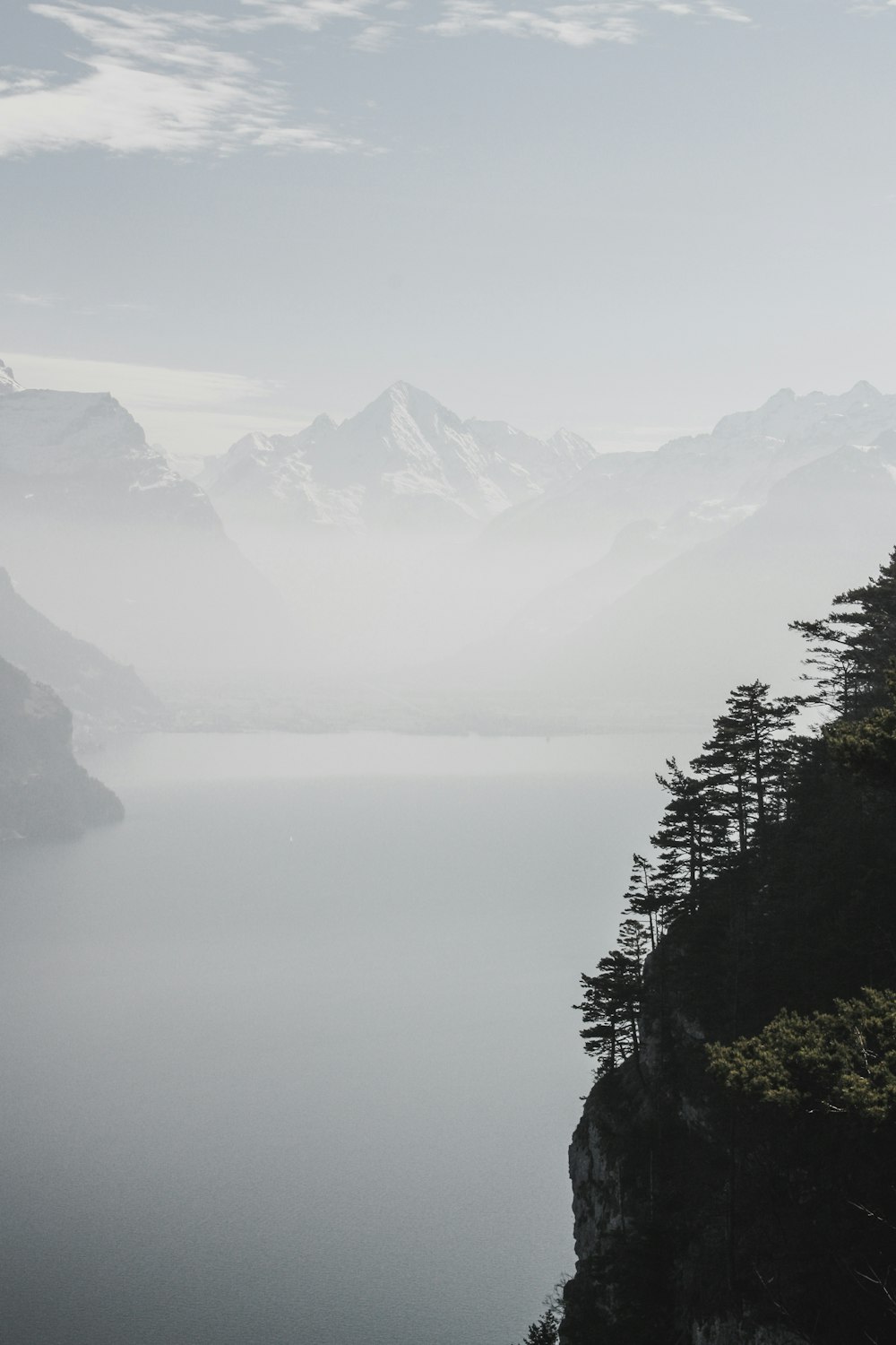 icy mountain and green tree scenry